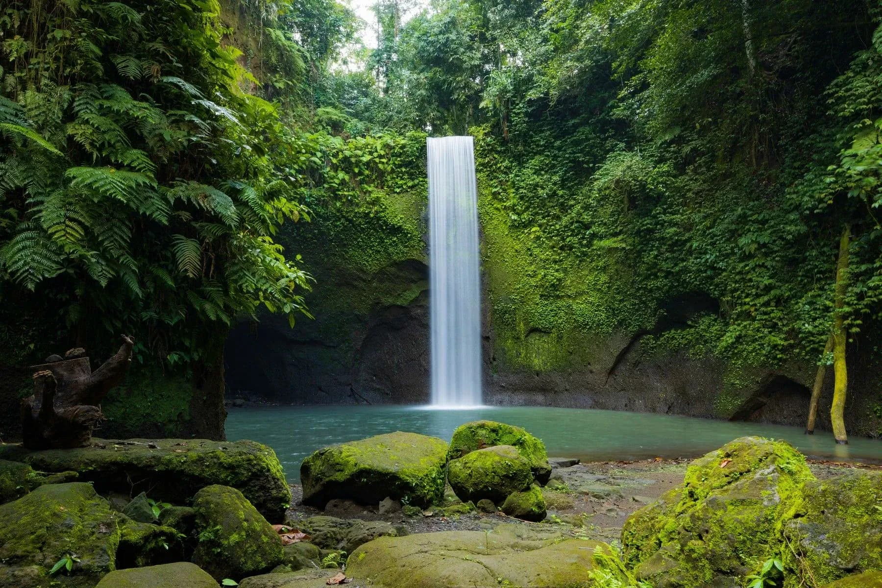 A powerful waterfall cascading into a lush green jungle canyon in Bali.